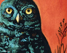 Seeker –  Burrowing Owl Fine Art Print