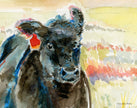 Wind – Black Angus Fine Art Print