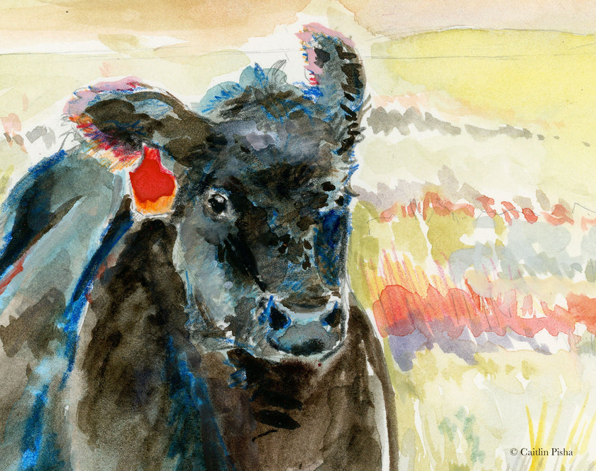 Wind – Black Angus Fine Art Print