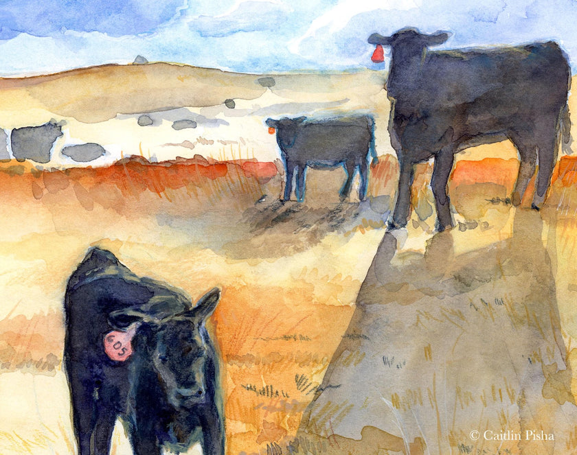 Alive in the 605 – Black Angus Fine Art Print