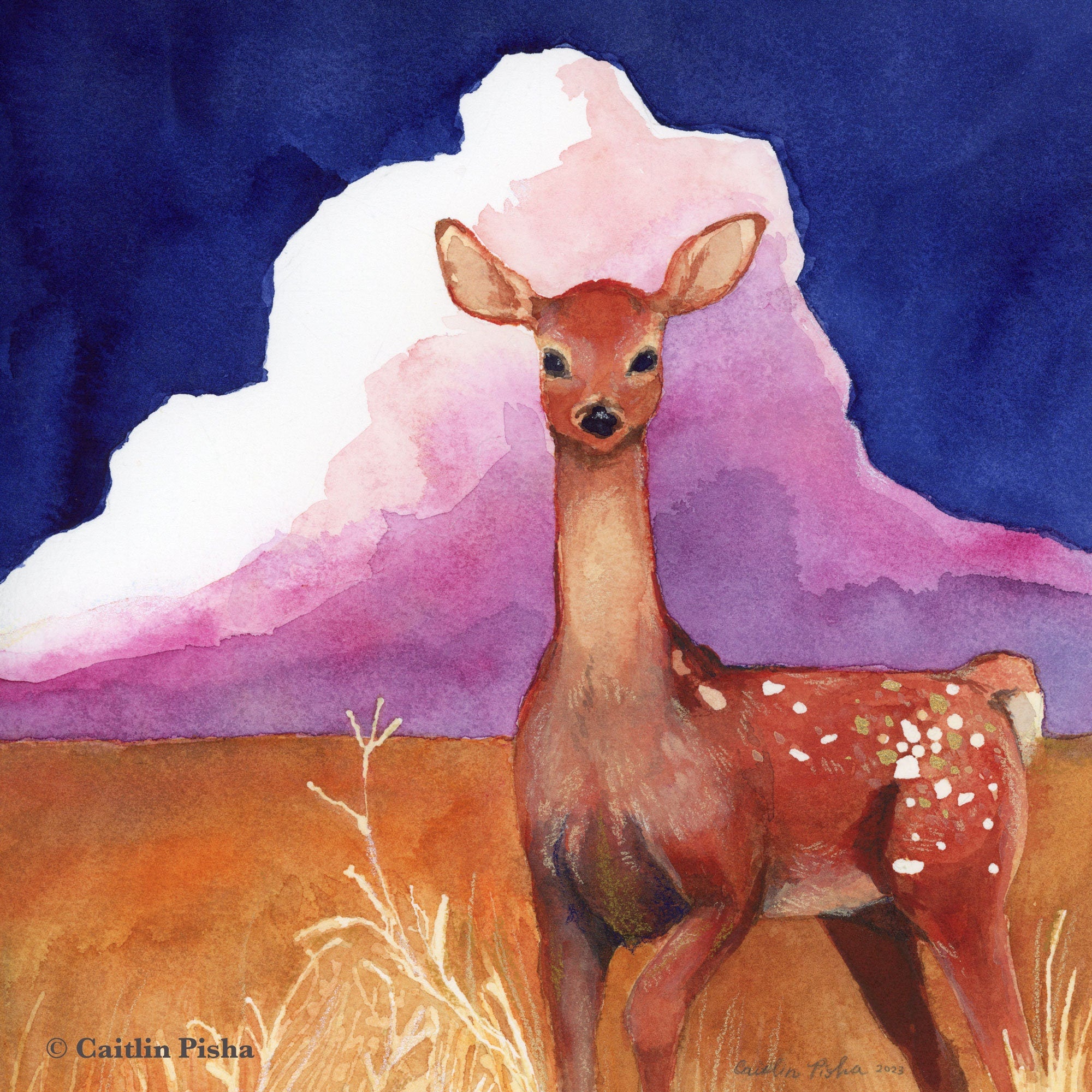 Thunderhead – Deer Fine Art Print