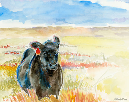 Wind – Black Angus Fine Art Print