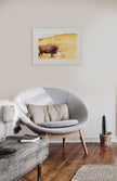 Fields of Gold – Buffalo Fine Art Print