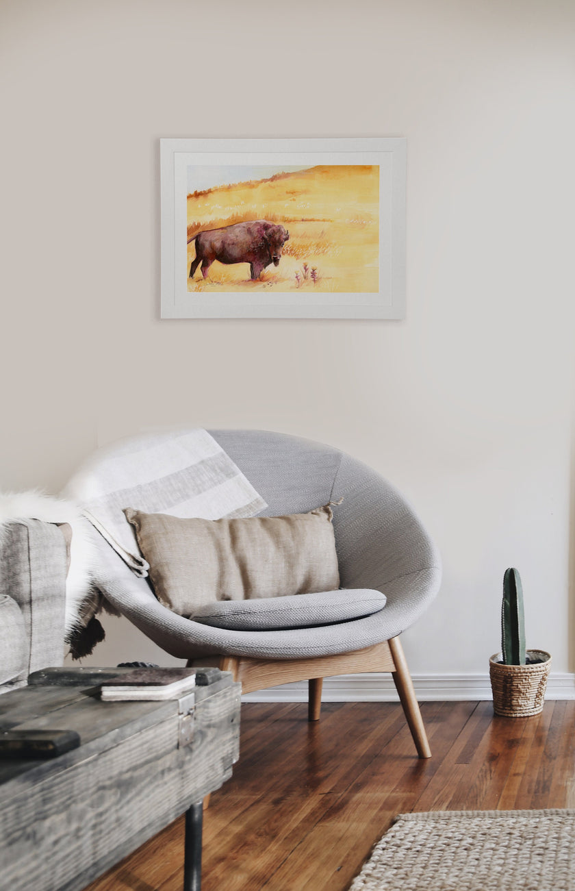 Fields of Gold – Buffalo Fine Art Print