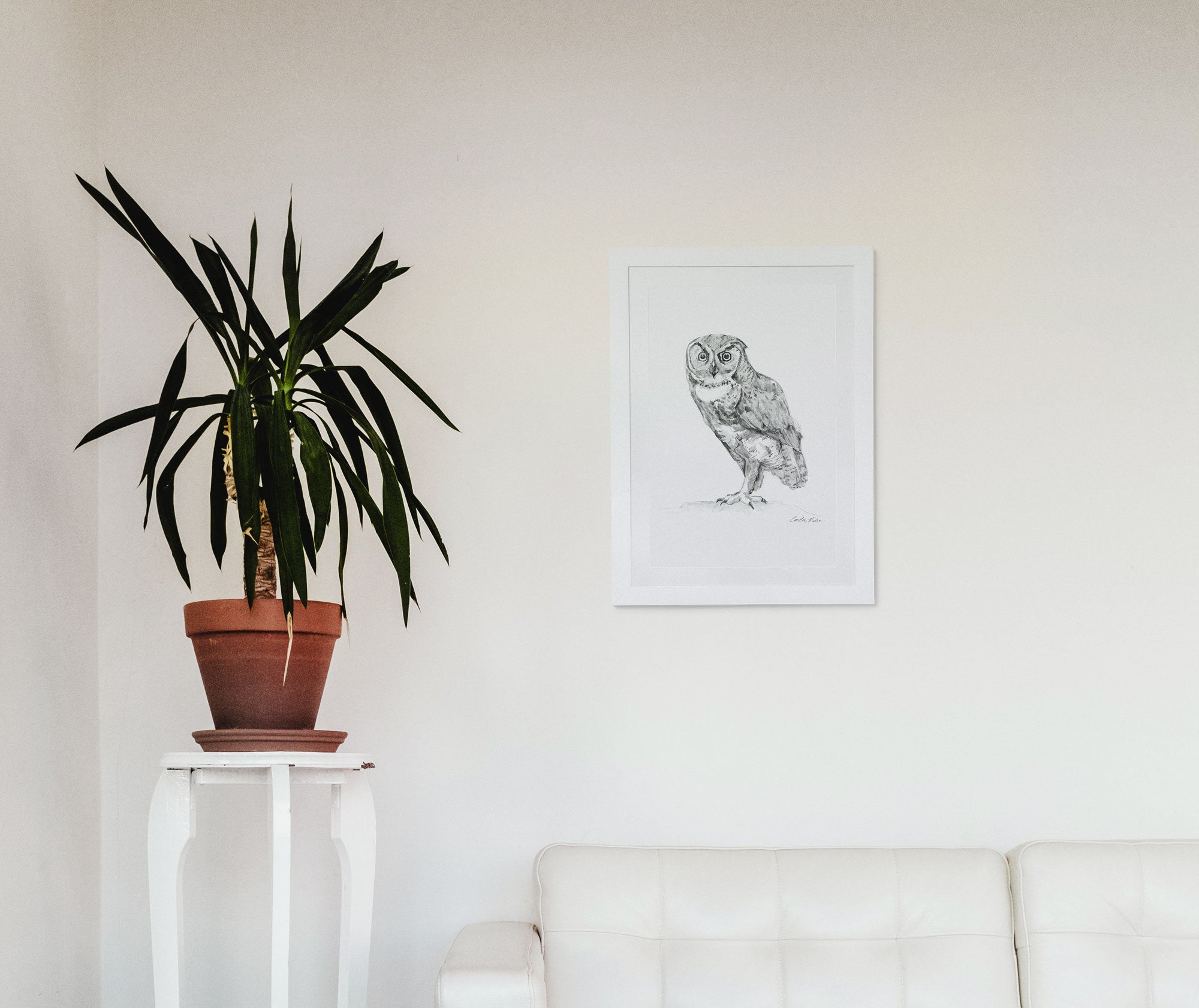 Gaze – Owl Angus Fine Art Print