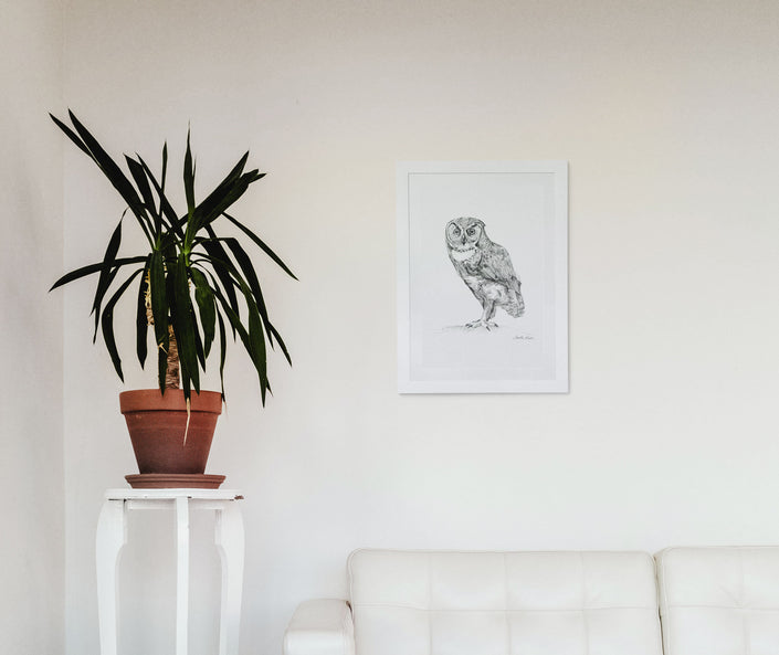 Gaze – Owl Angus Fine Art Print
