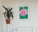 Peony – Fine Art Print