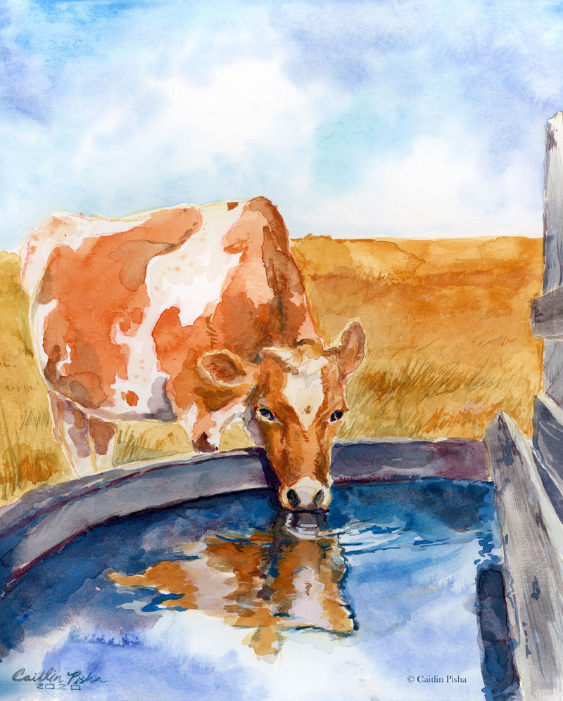 Bessie the Guernsey – Cow Fine Art Print