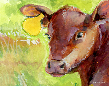 Auburn – Fine Art Print
