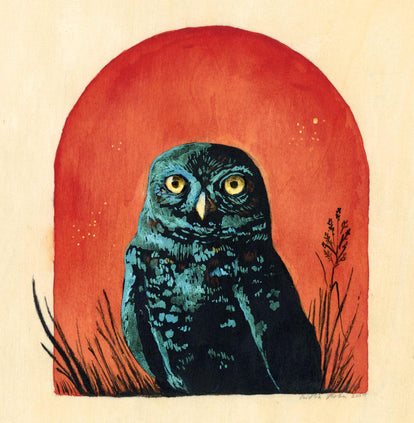 Seeker –  Burrowing Owl Fine Art Print