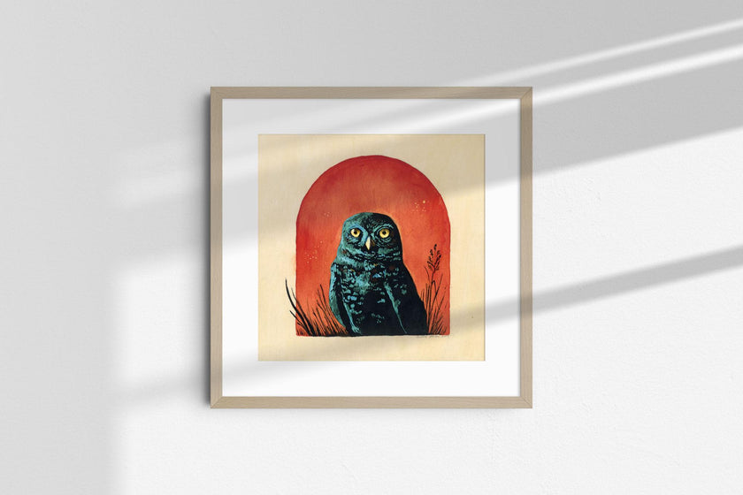 Seeker –  Burrowing Owl Fine Art Print