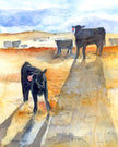 Alive in the 605 – Black Angus Fine Art Print