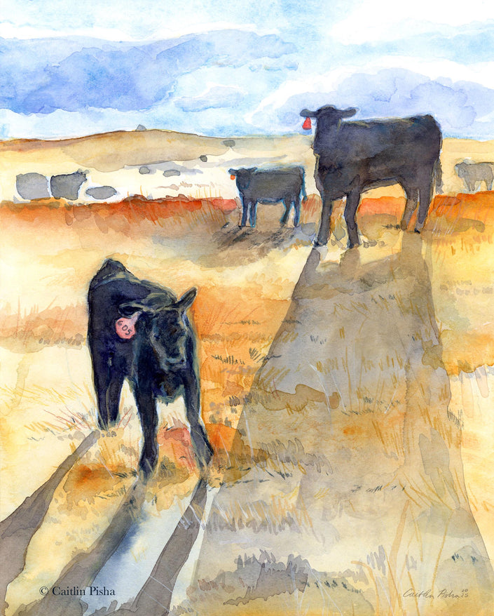 Alive in the 605 – Black Angus Fine Art Print