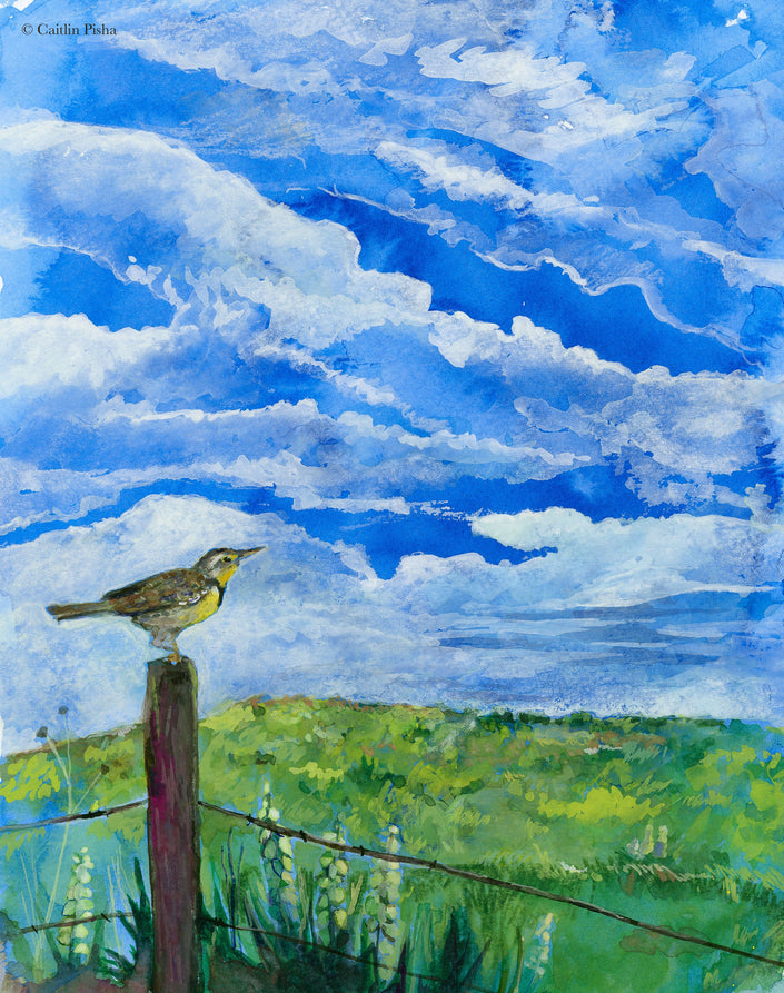 Daydreamer – Meadowlark Fine Art Print