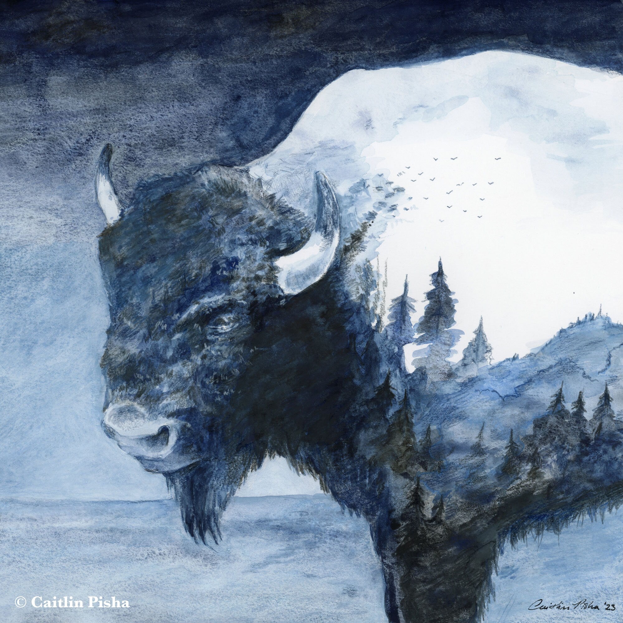The Wilderness Within –Bison Fine Art Print