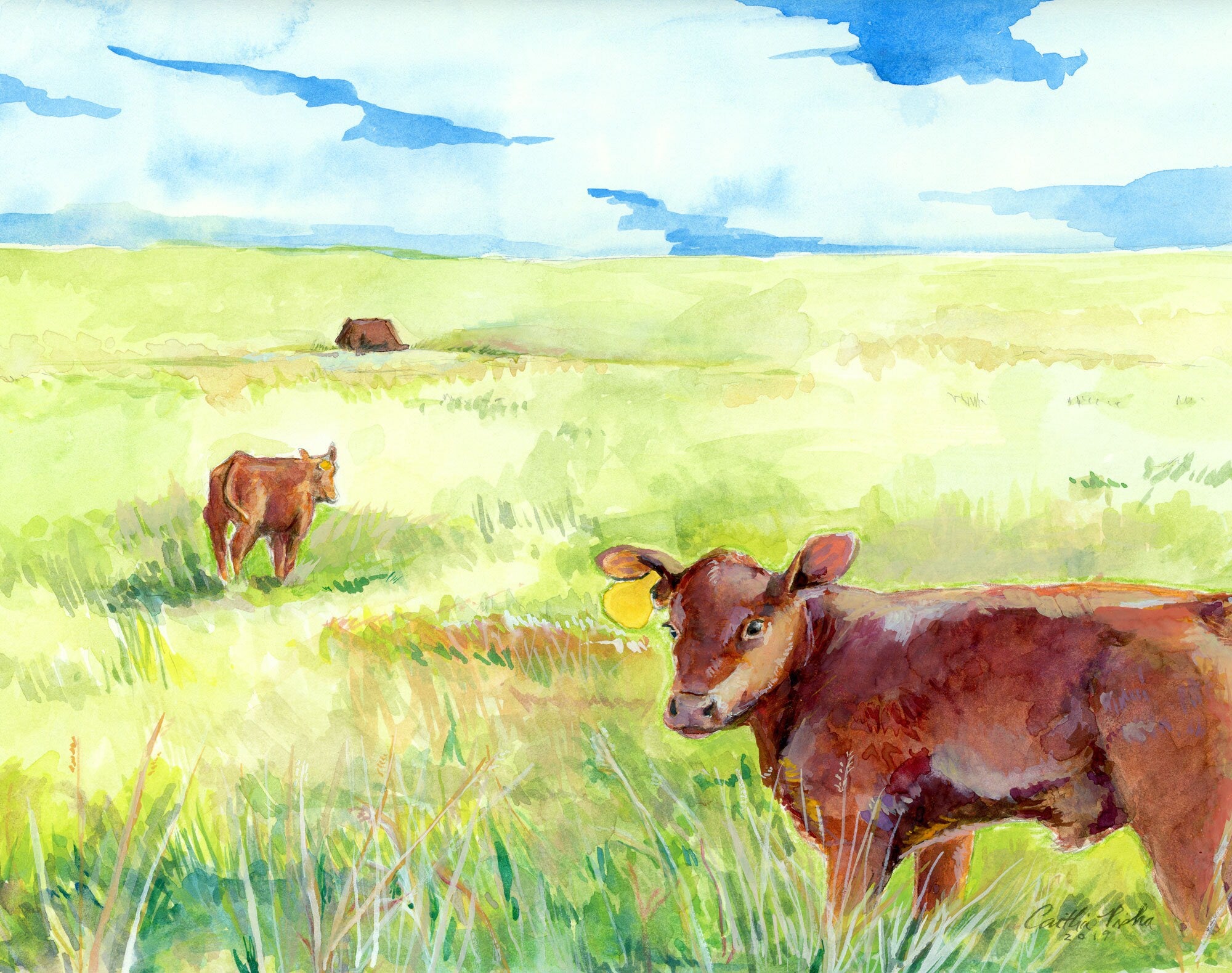 Auburn – Fine Art Print