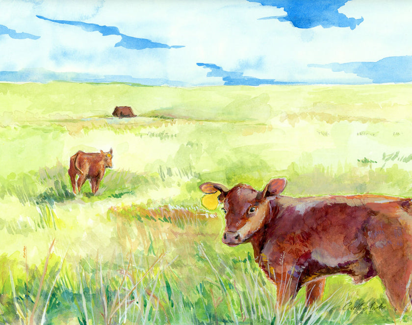 Auburn – Fine Art Print