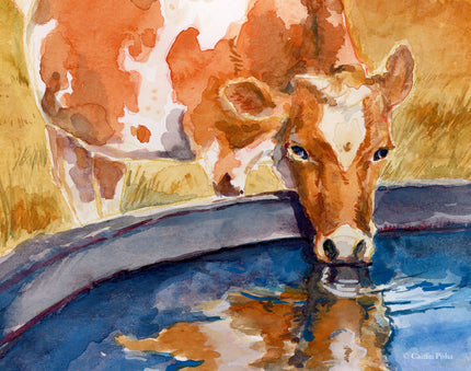 Bessie the Guernsey – Cow Fine Art Print