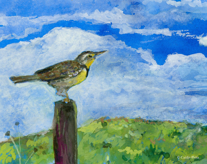 Daydreamer – Meadowlark Fine Art Print